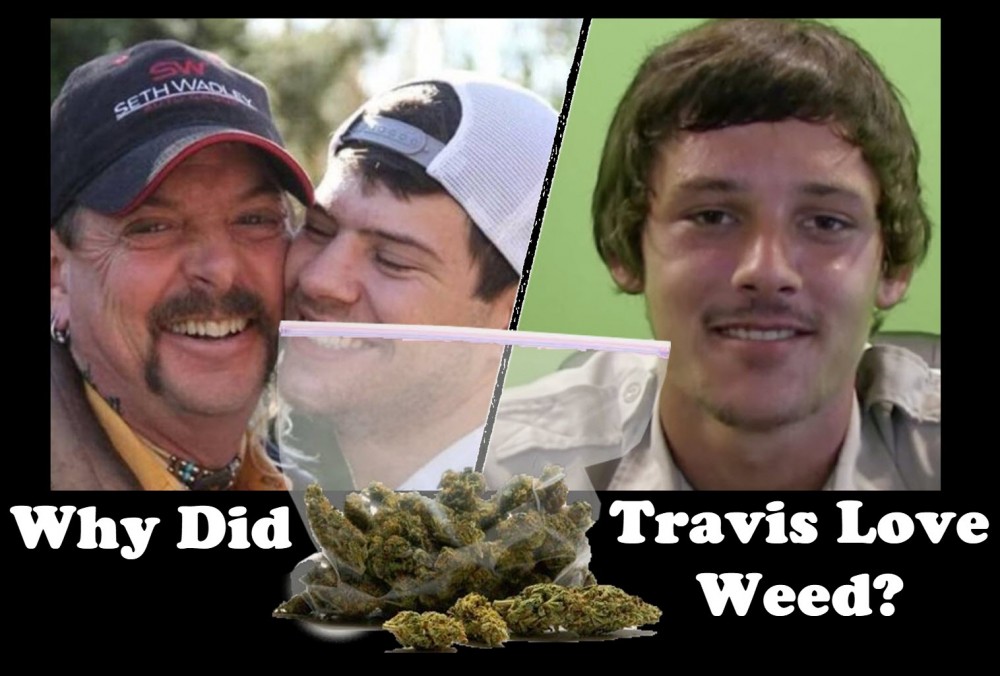 tiger king weed travis marijuana